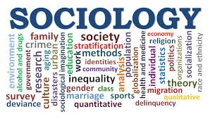 Sociology Sociology